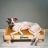 Cama para Perro